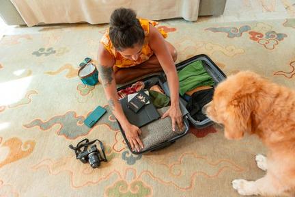 EES Border Checks Cause Chaos