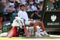 All-Czech Wimbledon Final Set