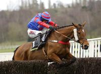 Grand National Horse Hospitalized