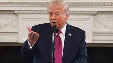 Trump attacks 'stupid' SCOTUS justices