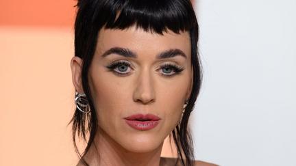 Katy Perry Investigated for Assault