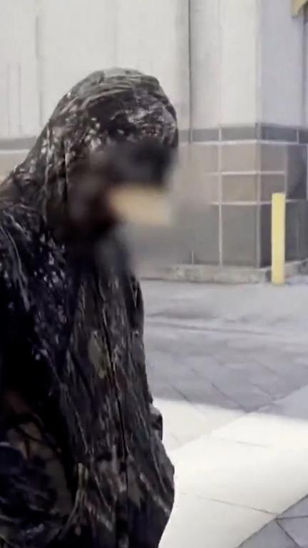 Stepbrother charged in cruise murder