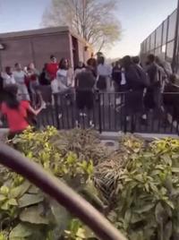 Deadly NYC stray bullet shooting