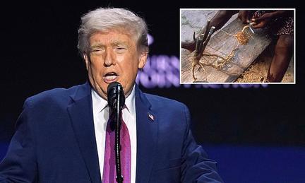 Trump signs psychedelics executive order