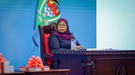 Tanzania Election Violence Inquiry