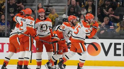 Ducks even series with Knights