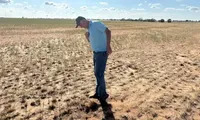 Record-Breaking El Niño Expected This Year