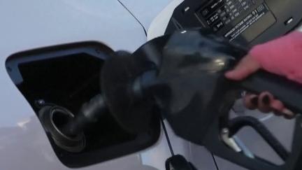 Global Markets Rally on Truce