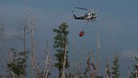Massive wildfires ravage Georgia and Florida