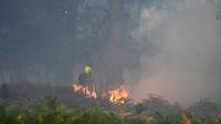 Wildfires Rage Across Heatwave-Hit Europe