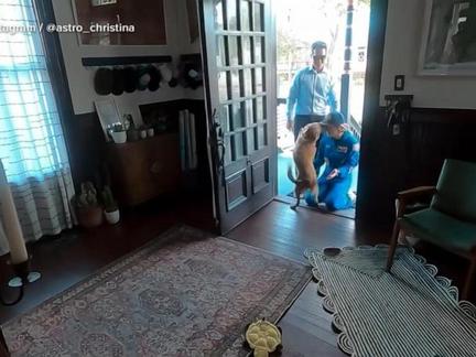 Artemis II astronauts return home