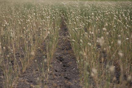 Saskatchewan Farm Security Review