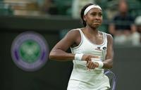 Wildcard Fery Storms Into Wimbledon Quarters