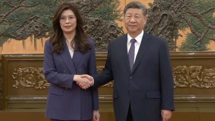Xi Jinping meets Taiwan's Cheng