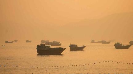 Oil Prices Tumble on Hormuz Reopening Hopes