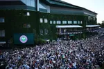 Sinner Defends Wimbledon Title