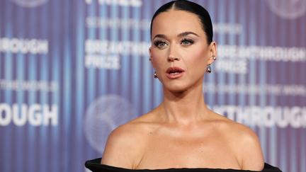 Katy Perry Denies Assault Allegations