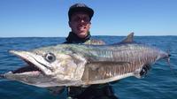 Shark fatally mauls Australian diver