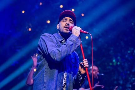 Zayn Malik cancels TV appearance