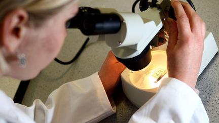 Ovarian Cancer Survival Breakthrough