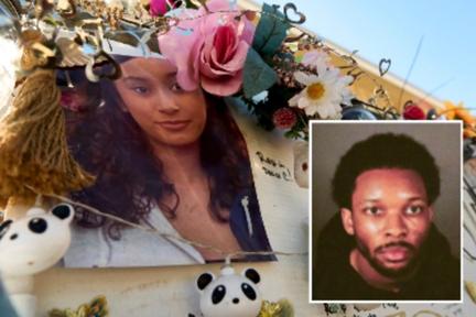 D4vd murder case unsealed