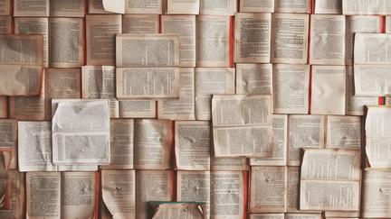 AI firms destroy ultra‑rare books