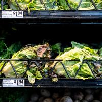 Cyclospora Outbreak Sickens Thousands in US