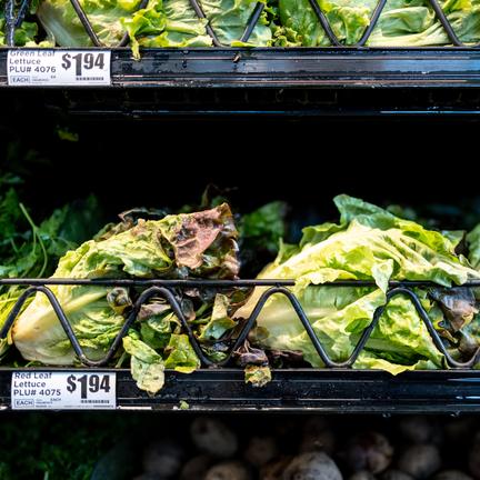 Cyclospora Outbreak Sickens Thousands in US