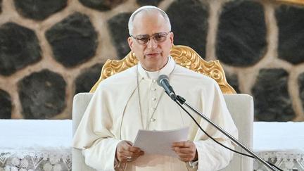 Pope Leo XIV Tours Africa