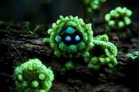 Meningitis outbreak in Reading