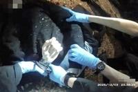 Nowak Officers Face Gross Misconduct Probe