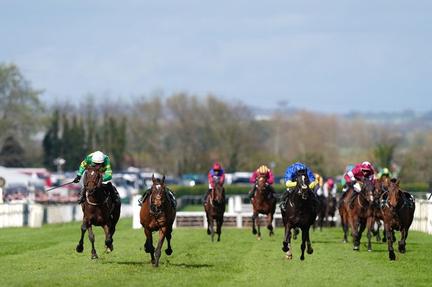 Grand National Horse Hospitalized