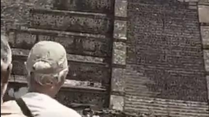 Canadian woman killed at Mexico pyramids