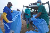 Ebola outbreak in DRC 'growing exponentially'