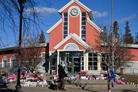 BC Sues OpenAI Over Tumbler Ridge Shooting