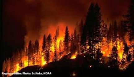 Wildfire risk high in Alabama