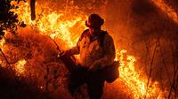 Sandy Fire spreads in California