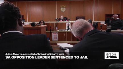 Julius Malema Sentenced to Prison