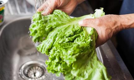 Cyclospora Outbreak Sickens 1,600, FDA Retracts Positive Test
