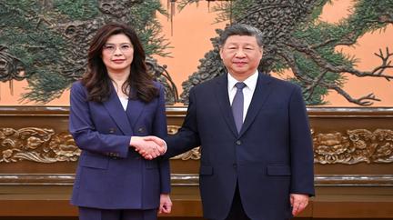 Xi Jinping meets Taiwan opposition