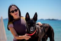 Cannes Palm Dog Award winner