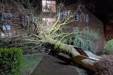 Storm Dave Batters United Kingdom