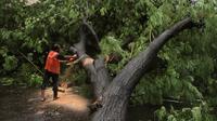 Mumbai Deluge Kills Six, Sparks Travel Chaos