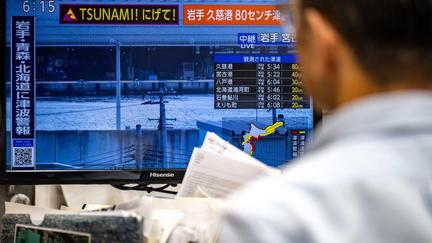 Major earthquake triggers Japan tsunami
