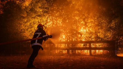Wildfires Force 300,000 to Flee in Europe