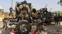 Nigeria-US strikes kill 175 militants
