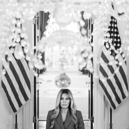 Melania Trump's Epstein statement