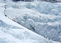 Record climbers summit Mount Everest