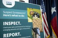 New World Screwworm Outbreak