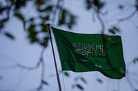 Saudi Arabia executes seven